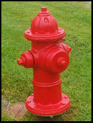 Talon Hydrant