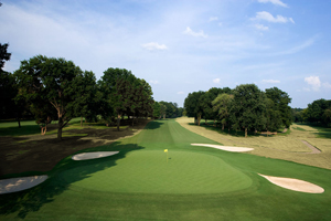 Golf Course Turf Colorant Dormant